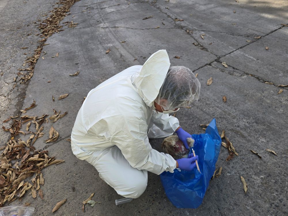 경기도, 퇴직 수의직 공무원 7명 투입해 가축전염병 예방 현장 점검 강화