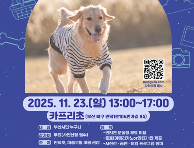 부산시, 반려동물과 함께하는 늦가을 소풍… '댕댕 선데이' 개최