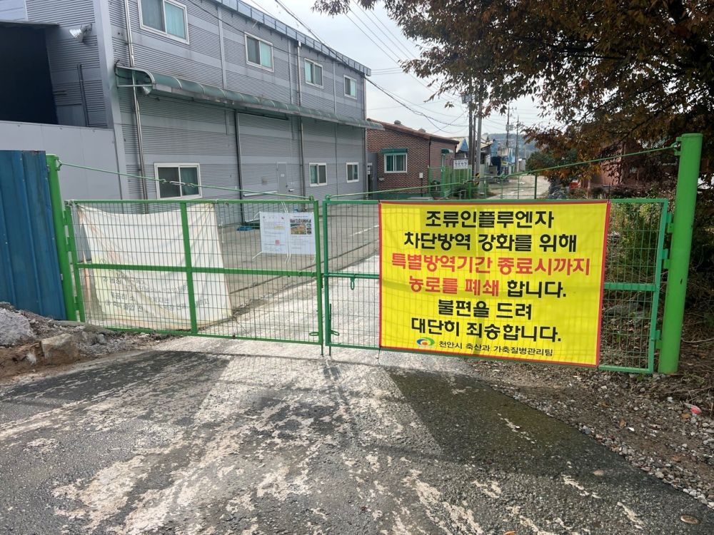 천안시, 고병원성 조류인플루엔자(AI) 유입 방지 총력 대응