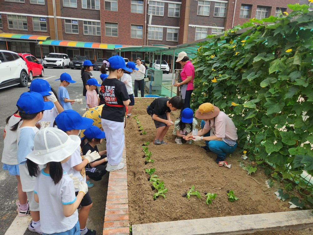 계룡시, ‘학교 텃밭 원예프로그램’ 성황리 종료