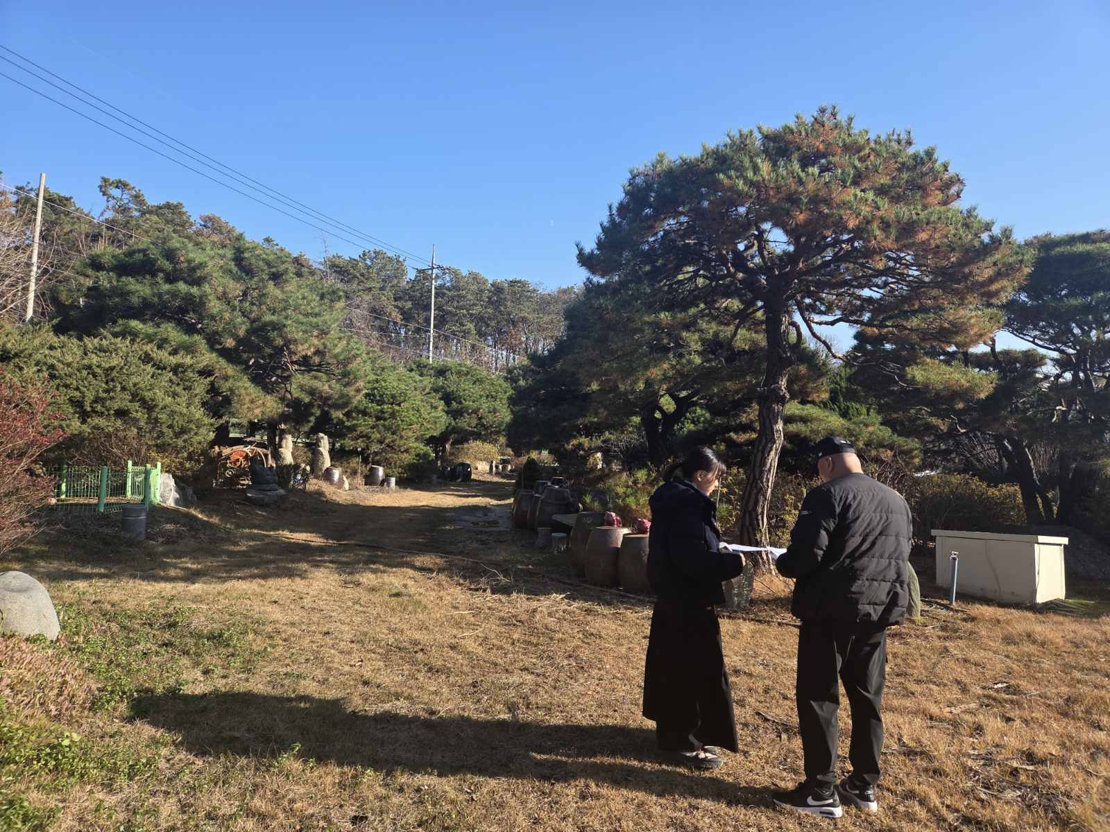 오산시, 소나무재선충병 확산 방지 위해 가을철 소나무류 이동 특별단속 완료