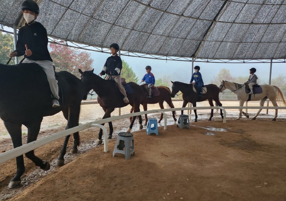 순천시, 제1회 유소년 승마대회 개최