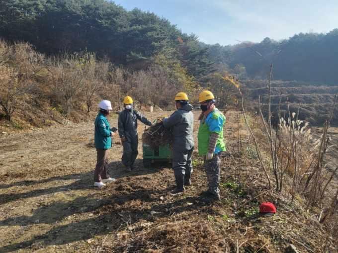 합천군 가회면, 겨울철 산불 예방 위해 영농부산물 집중 파쇄