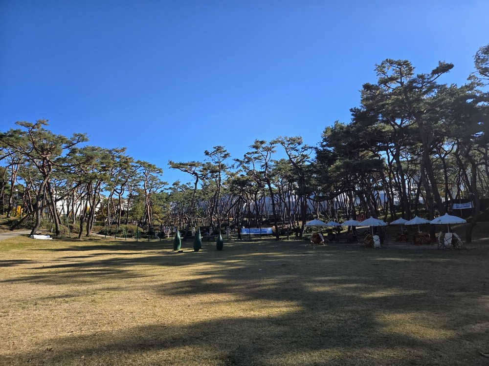 청주시, 솔밭‧장구봉근린공원 시설개선 사업 추진