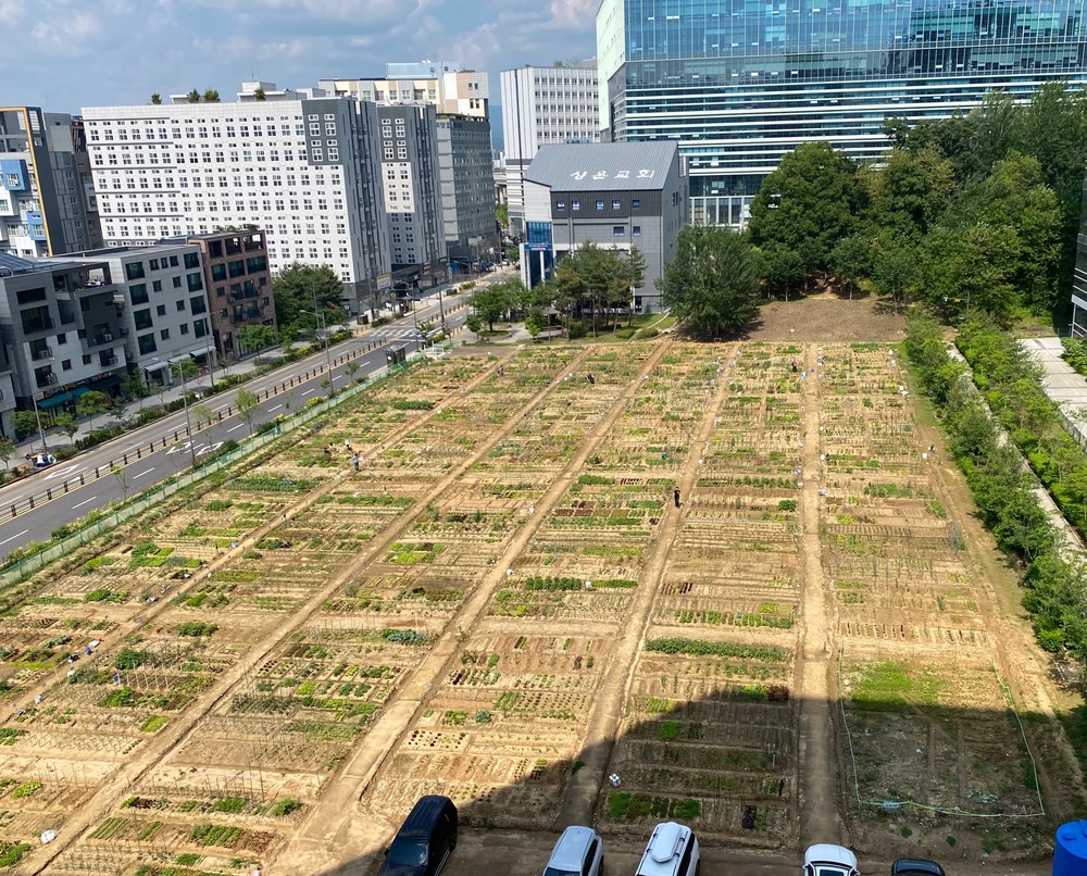 구리시, 더 행복한 시민 텃밭 행복팜팜(Farm Farm) 성료