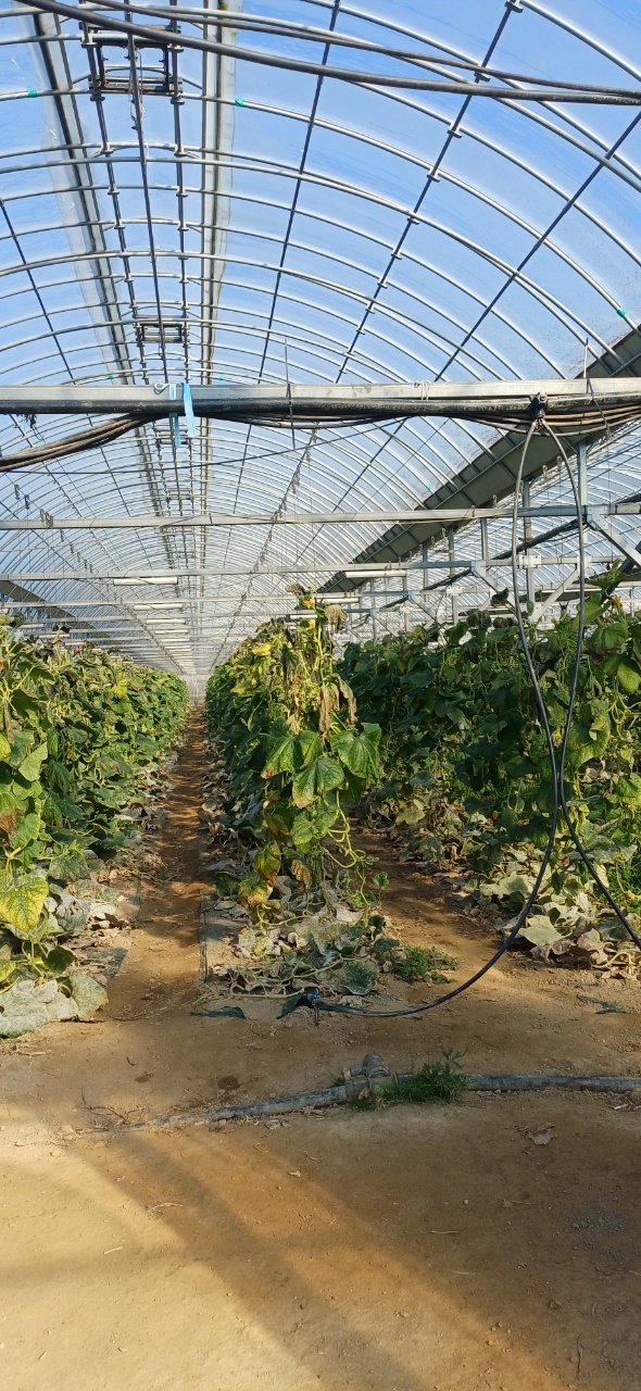 부안 보안면, 겨울철 농업시설 및 농작물 안전관리 요령 홍보