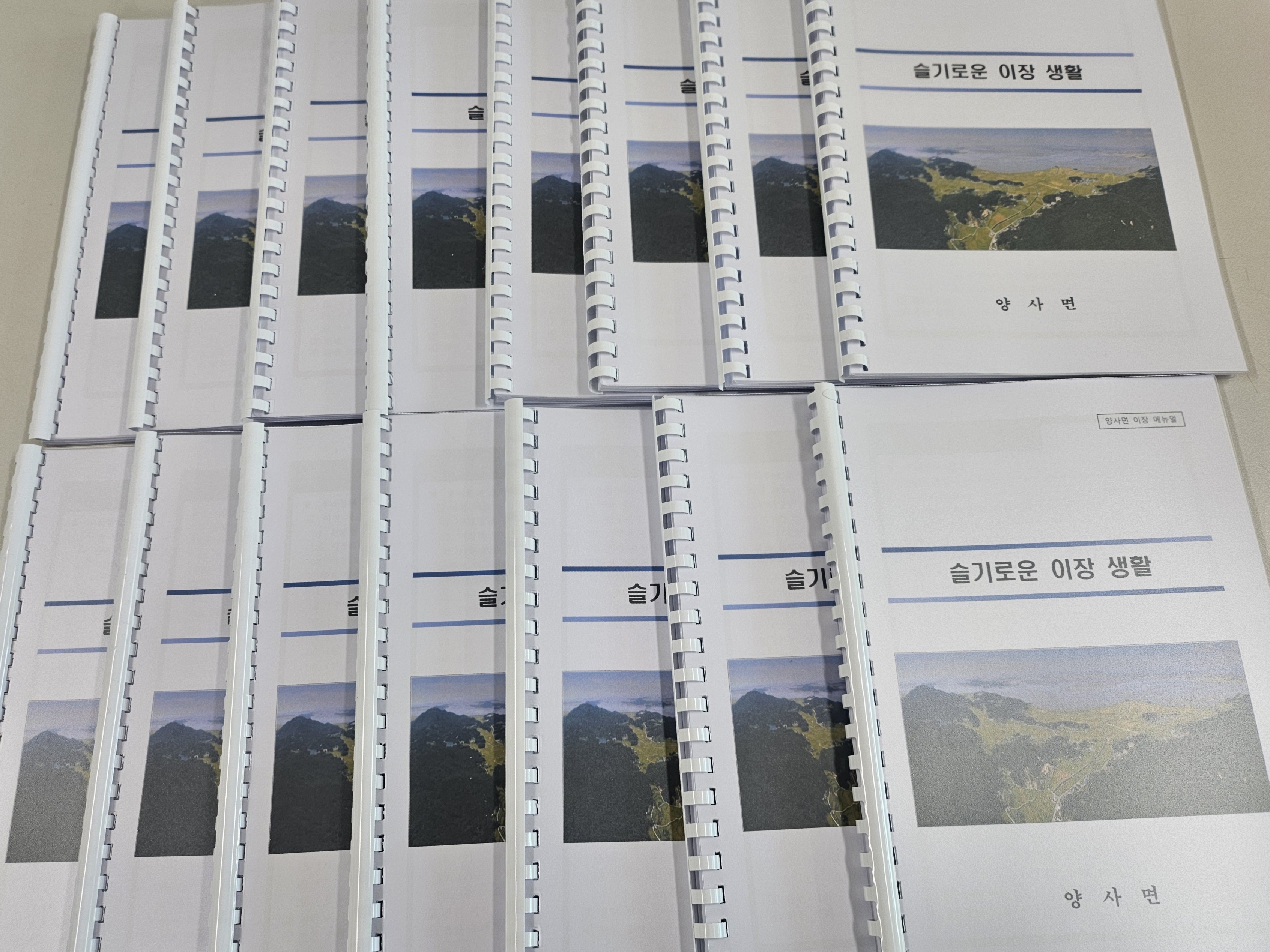 양사면, ‘슬기로운 이장 생활’ 배포