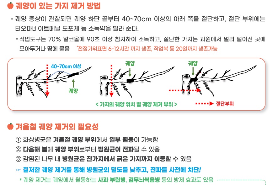 예산군 농업기술센터, 과수화상병 예방 위한 겨울철 과원 관리 철저 당부