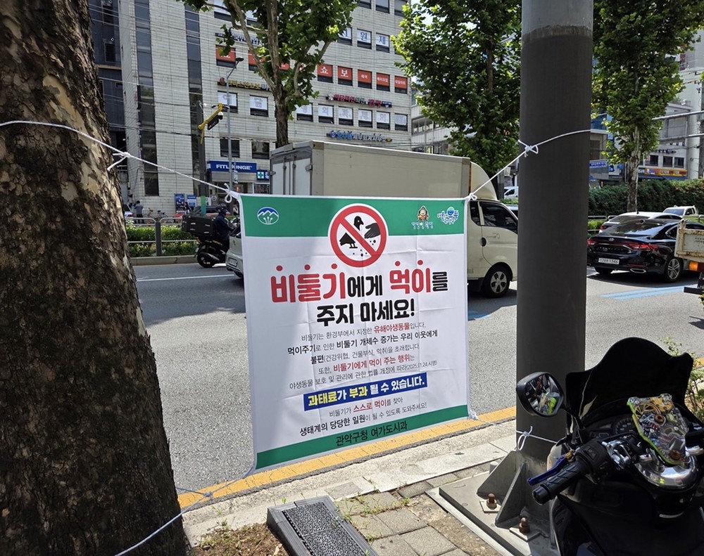 관악구, 유해야생동물 먹이주기 금지 계도기간 돌입