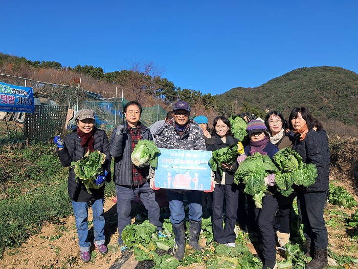 금정도시농부학교 오륜공동체, 친환경 배추로 따뜻한 후원 펼쳐