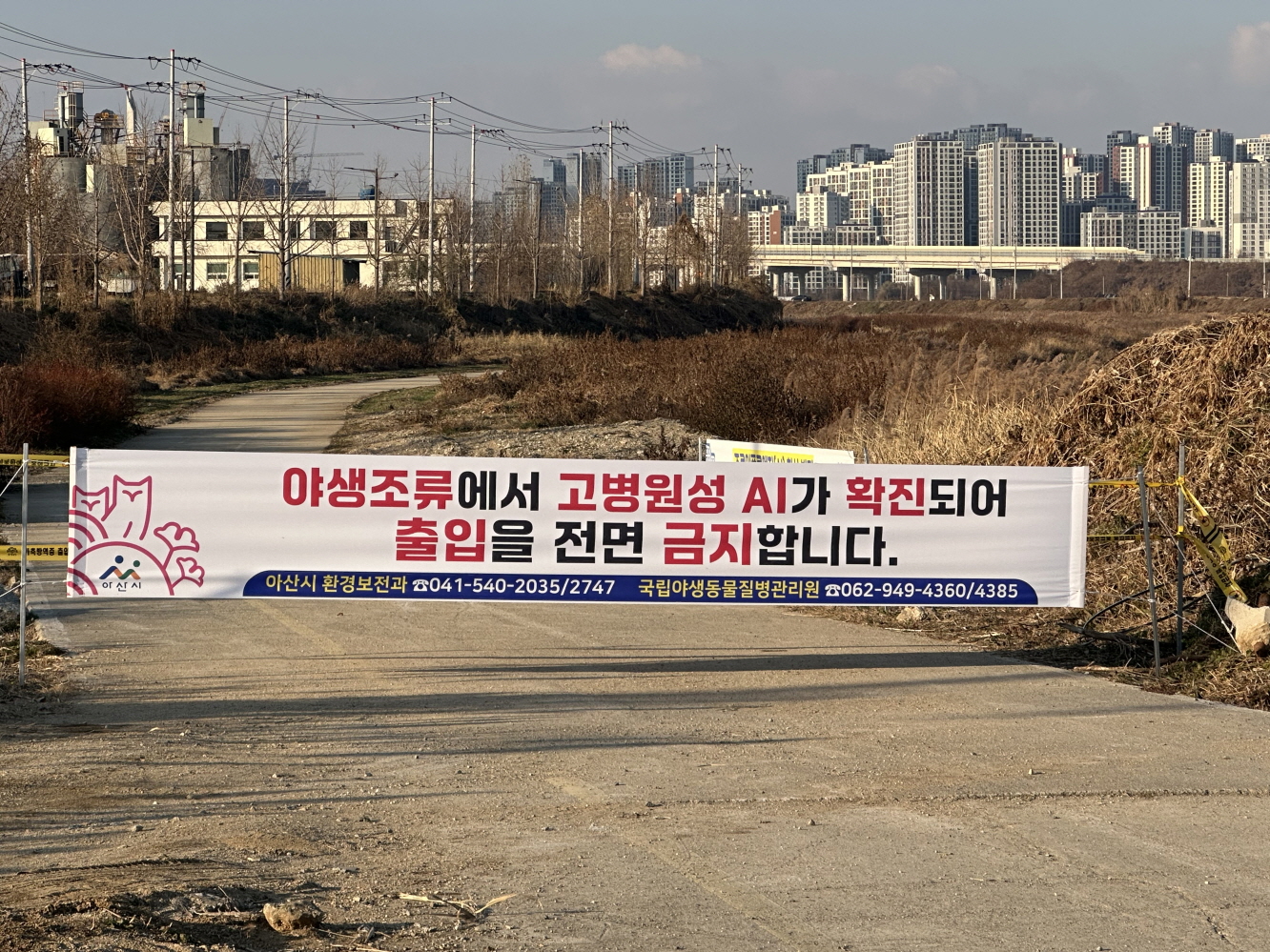 아산시, 봉강천 야생조류 분변서 고병원성 AI 확진… 예찰·통제 강화