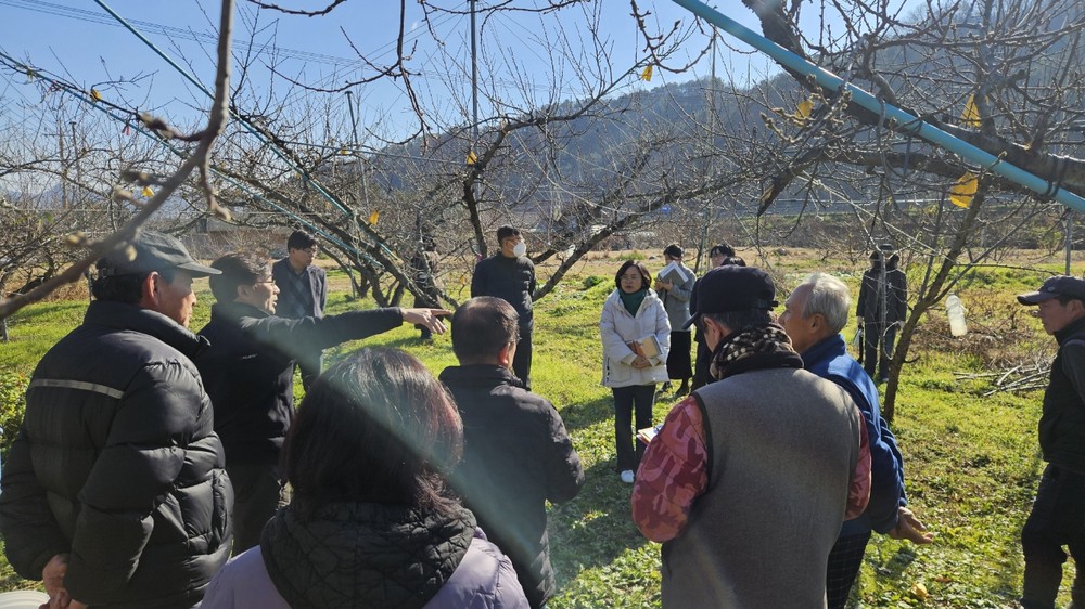 화순군, 고품질 복숭아 생산 위한 ‘기술 보급 확산지원단’ 가동