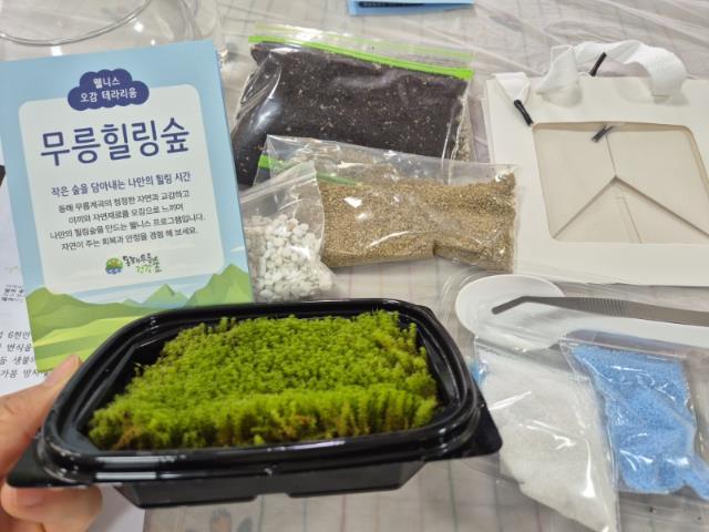 동해시, 2026년 신규 웰니스 체험프로그램 ‘무릉힐링숲 만들기’ 운영