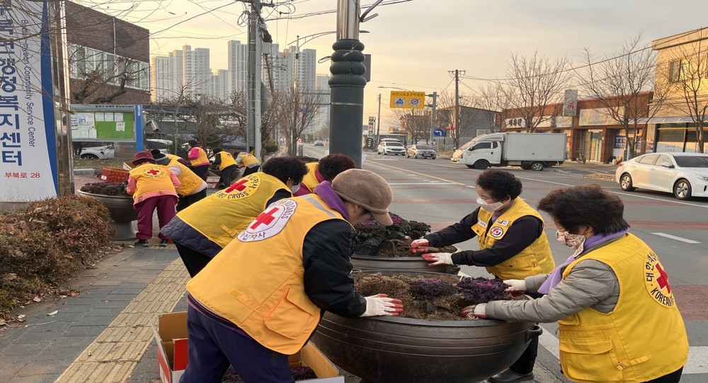 부북면, 주요 도로변 화단에 겨울꽃 식재