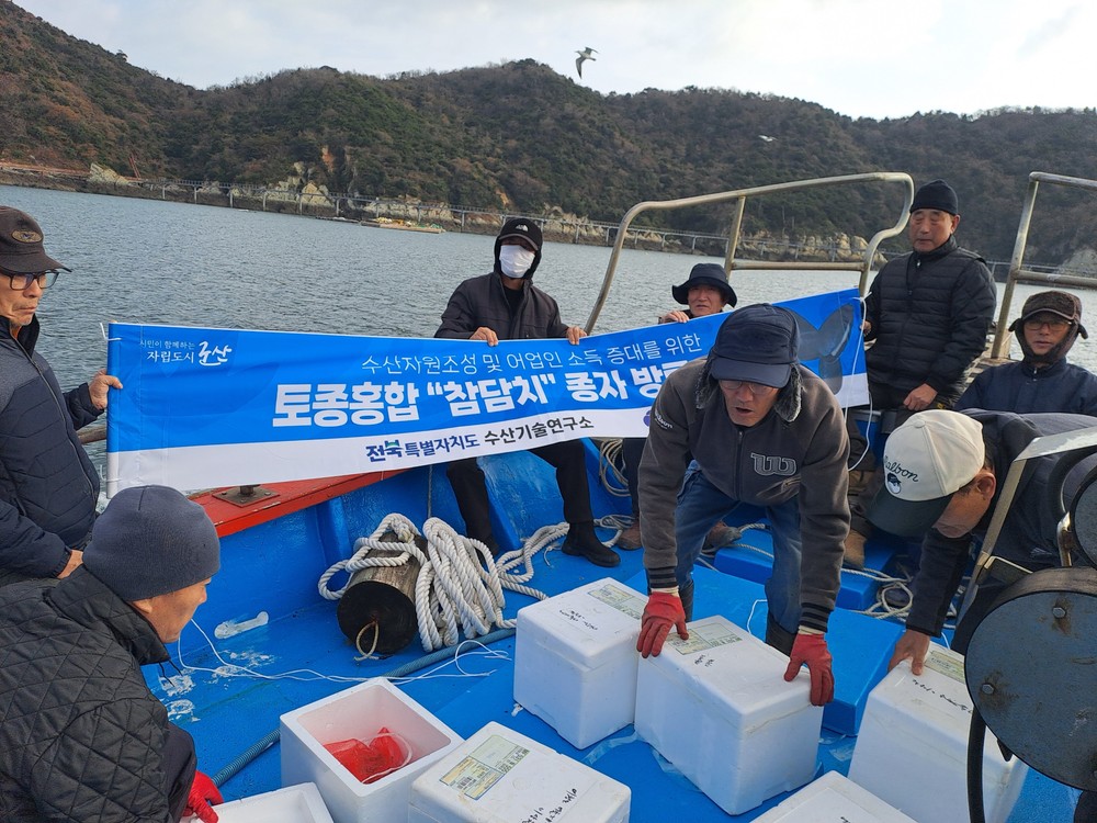 토종홍합 ‘참담치’ 치패 10만 미, 어청도 해역에 대규모 방류