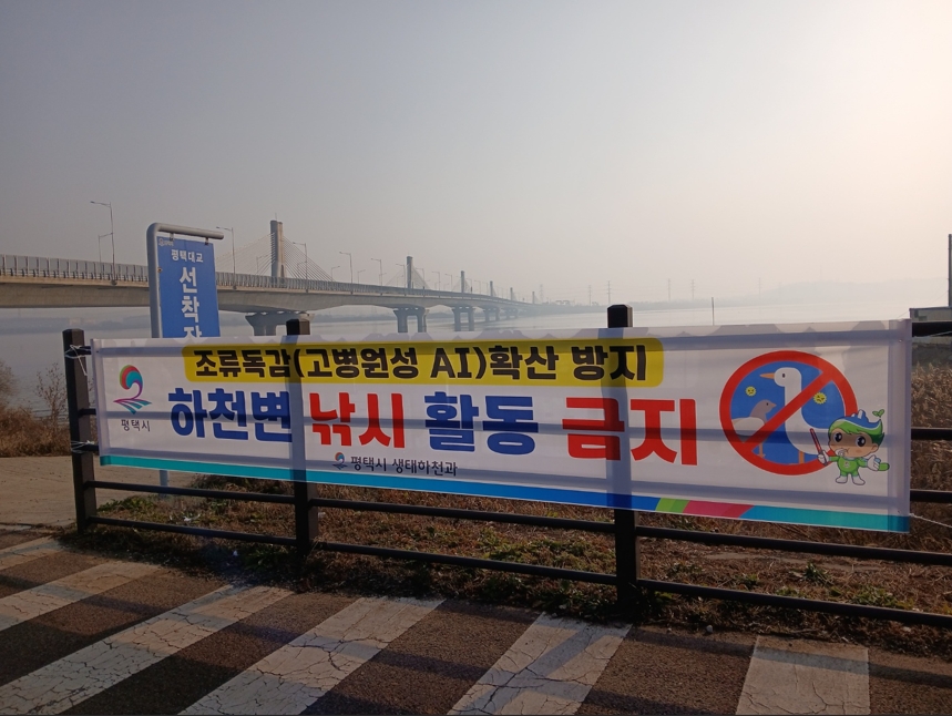 평택시, 고병원성 조류인플루엔자 확산 방지를 위해 하천 내 낚시행위 금지 계도 나서