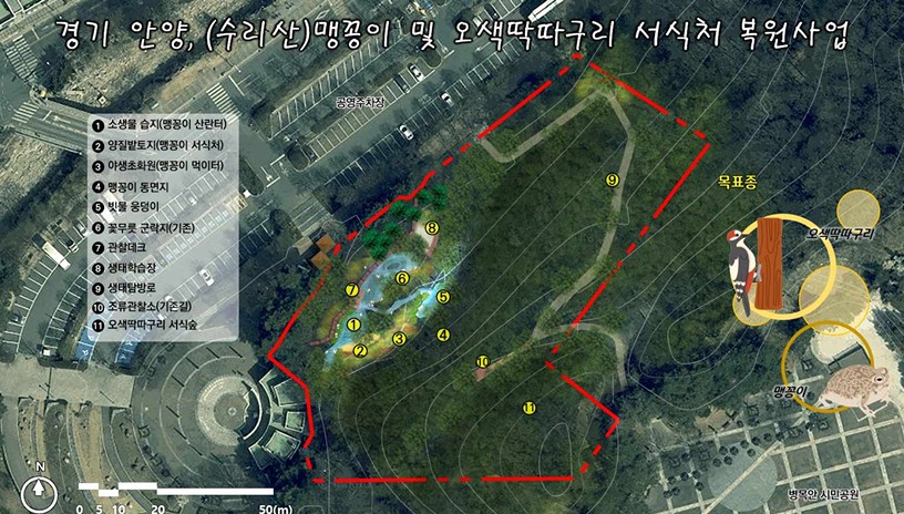 안양시, 병목안시민공원 맹꽁이・오색딱따구리 서식처 복원…국비 4.4억 확보