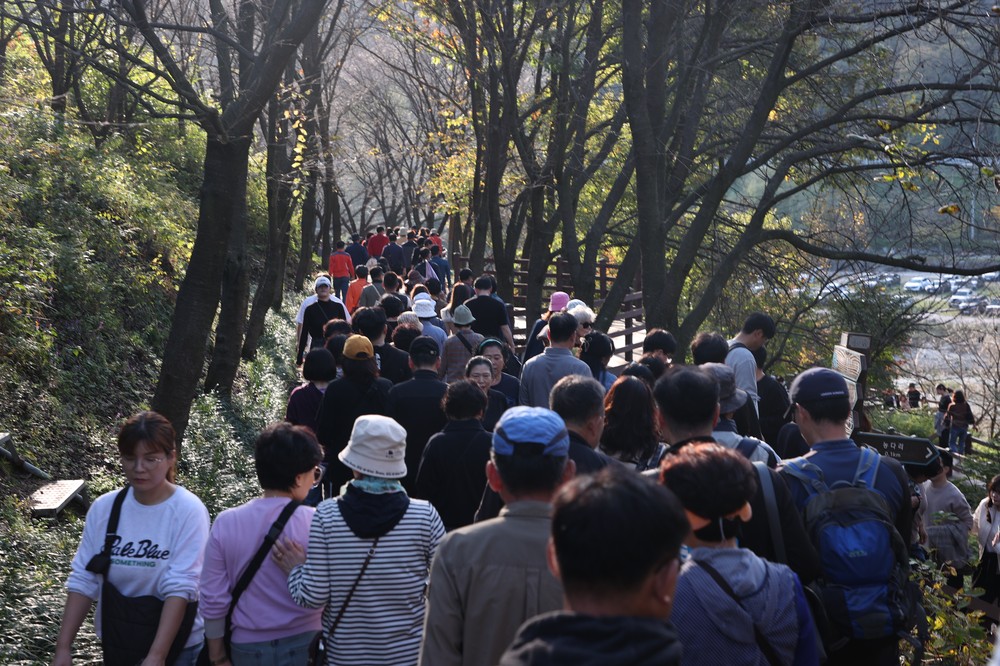 183만 명이 찾았다…진천 농다리·초평호 관광 대세 입증