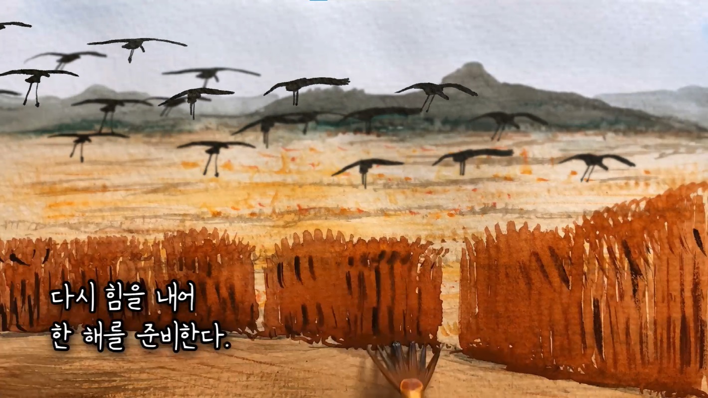 IUCN 회원 가입 기념, ‘순천만 콘텐츠 공모전’ 성료