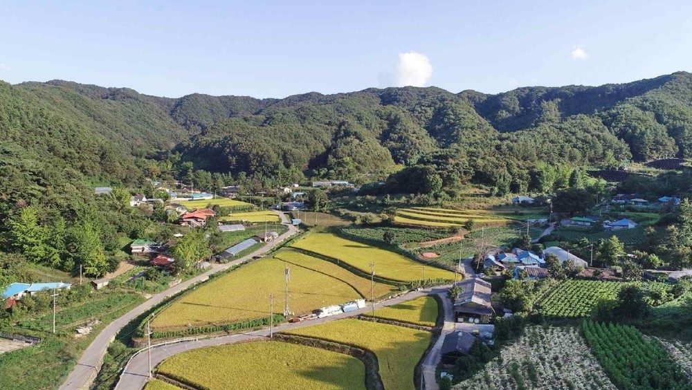 예산군 신양면 차동리, 취약지역 생활여건개조사업 우수지역 선정