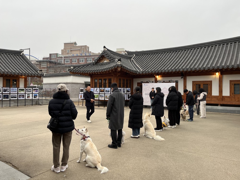 수원특례시, ‘매너견과 함께하는 반려동물 문화교실’ 운영
