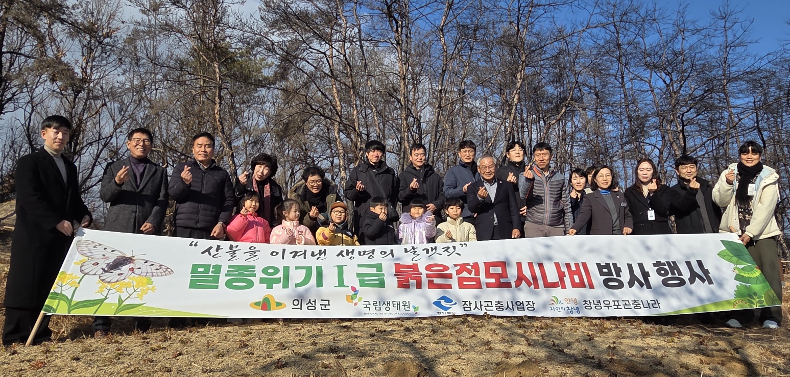 의성군, 멸종위기종 붉은점모시나비 유충 방사