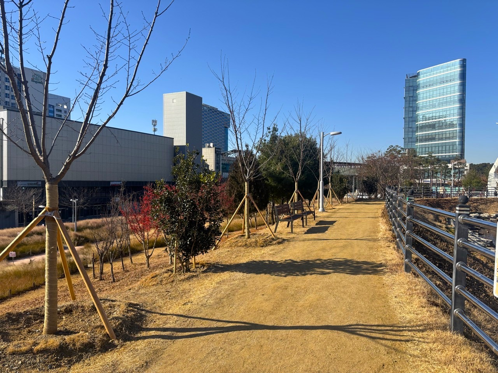 대구 동구, 신서중앙공원 새못 맨발산책로 조성 완료