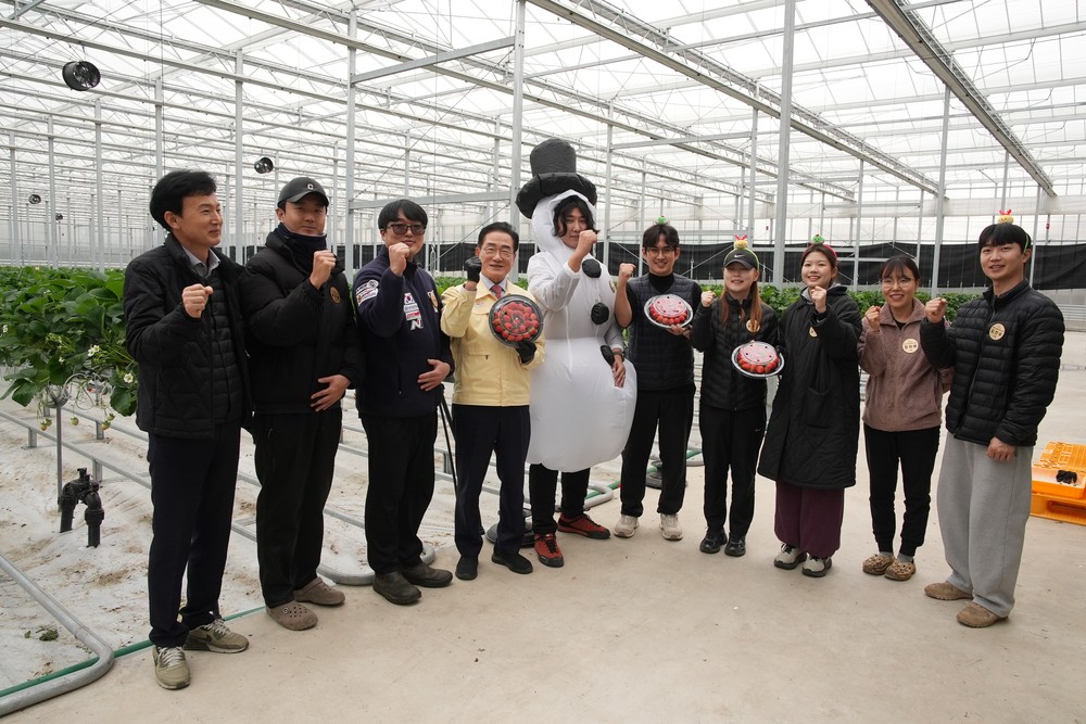 영천시, ‘지역특화 임대형 스마트팜’ 딸기 수확 현장 방문