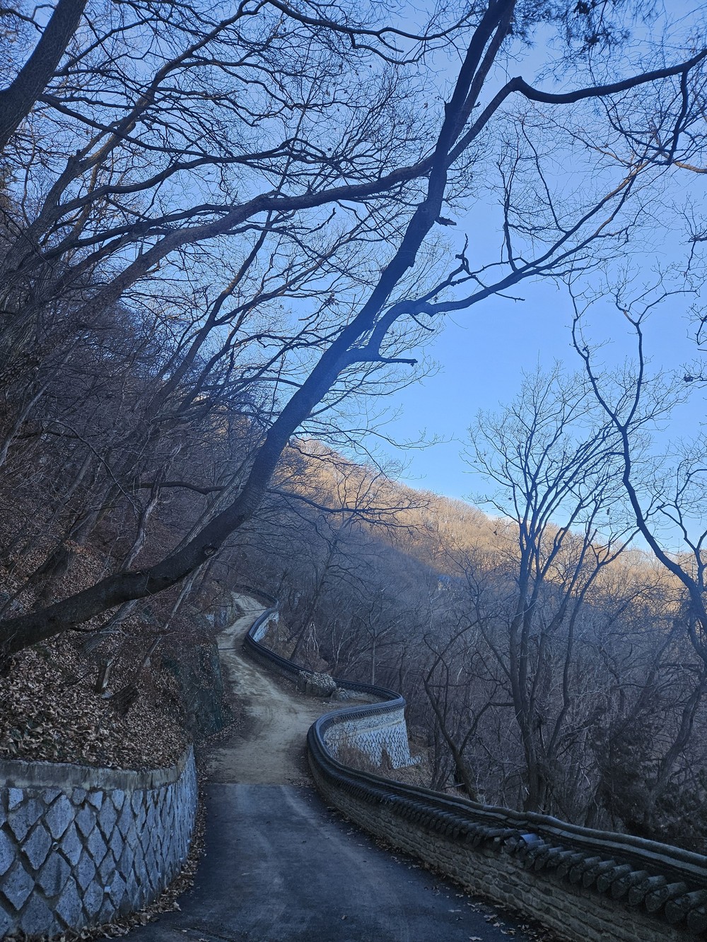 용인특례시, 석성산 숲길 정비사업 마무리