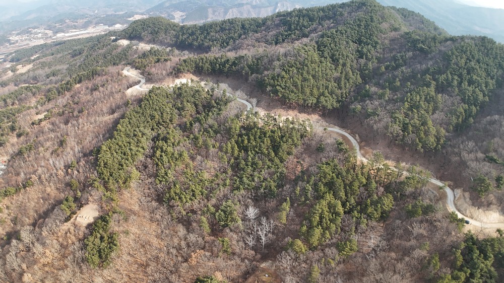 금산군, 부리면 현내리~예미리 간선임도 준공