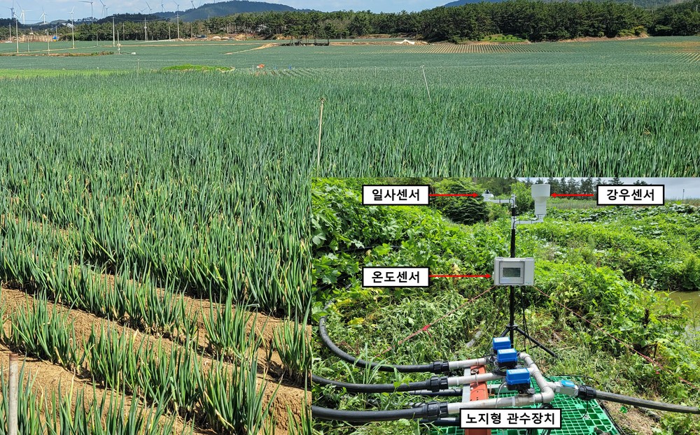 전남농기원, 특허기술 민간 이전으로 상용화 가속