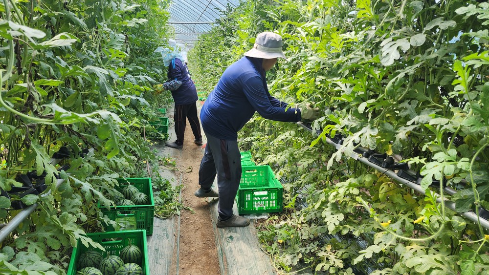 진천군, 기술보급 블렌딩 협력모델 국비 공모사업 선정