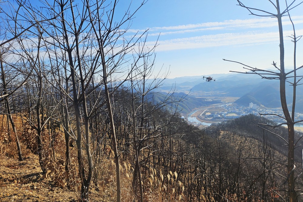 청송군, 산불피해지 대체작물조성 시범사업 시행