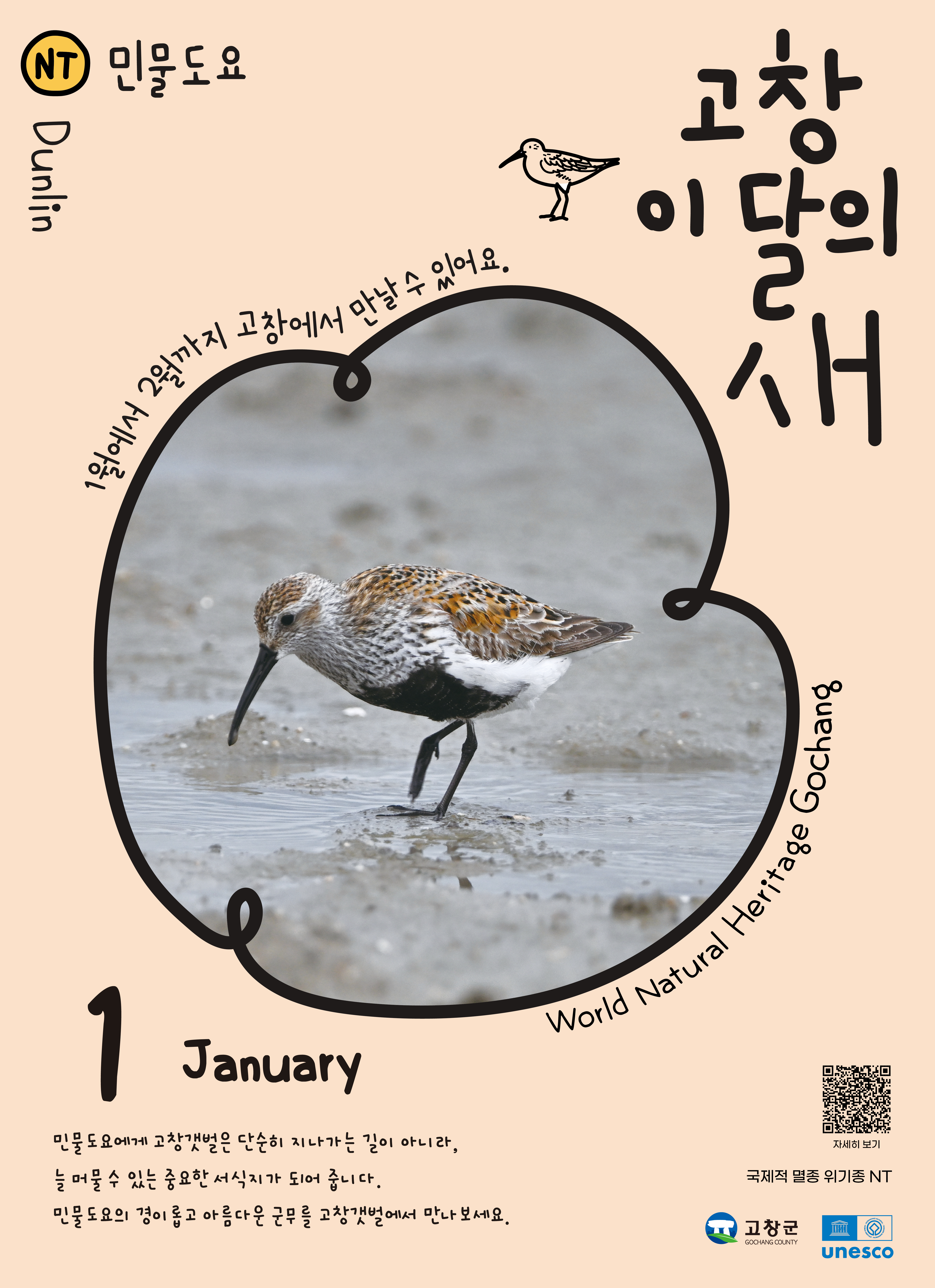 고창군, 1월 ‘고창갯벌 이달의 새’로 ‘민물도요’ 선정
