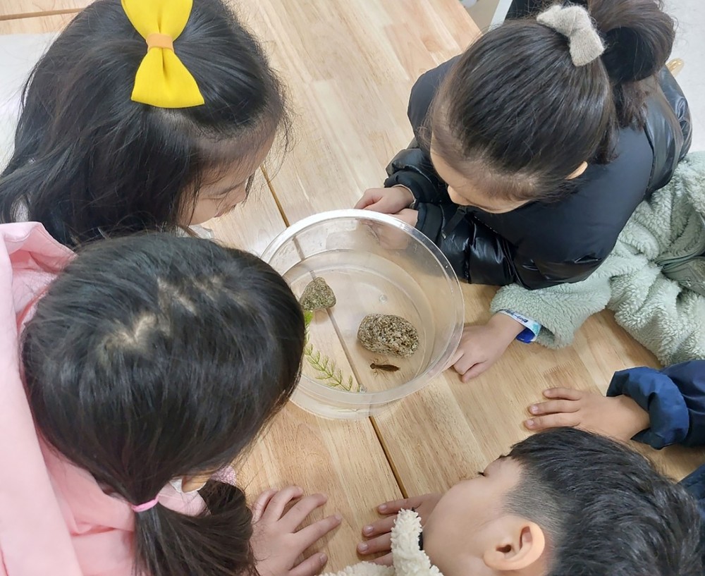 성남시 ‘꿈틀이 환경교실’ 등 5종 우수 환경교육 프로그램 지정