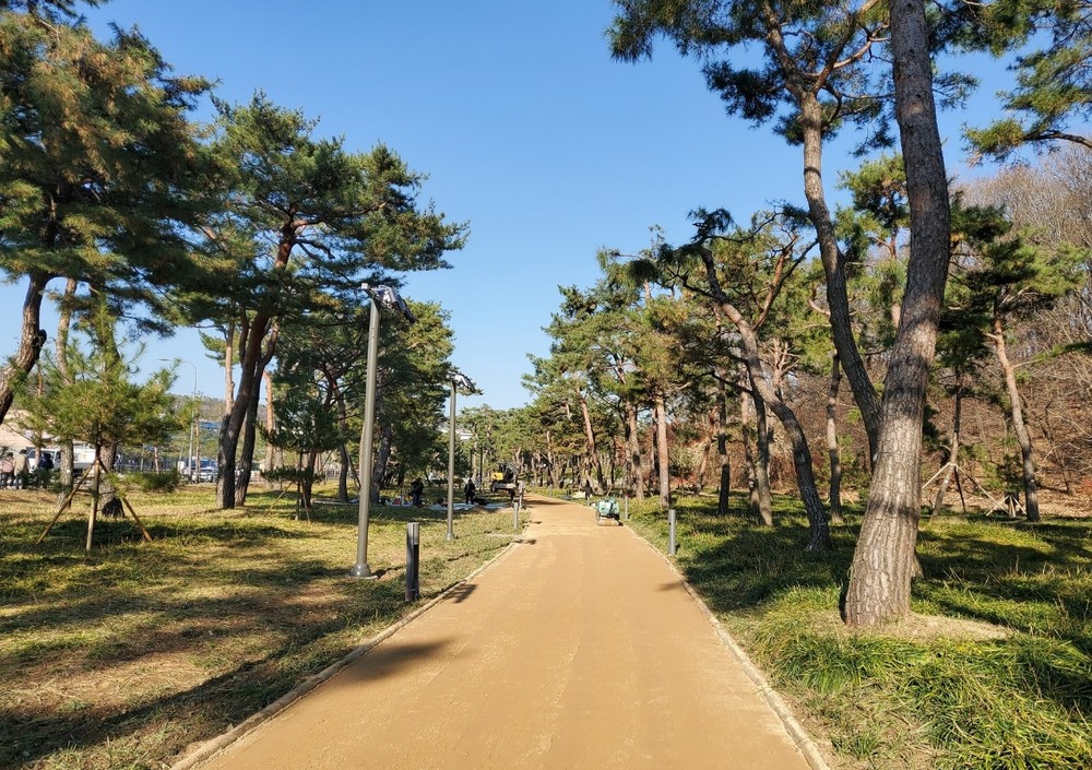 수원시 장안구, 노송공원 내 고보조명과 함께 ‘명품 맨발걷기길’ 조성
