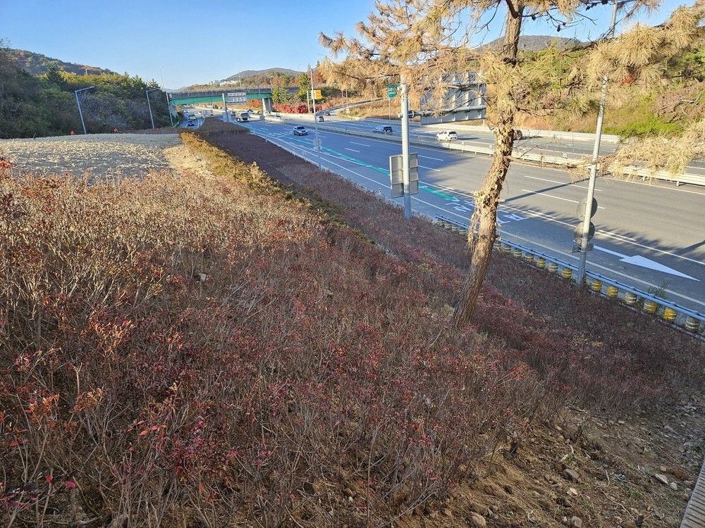 순천시, 기존 수목 이식으로 예산 절감․친환경 효과 ‘일석이조’