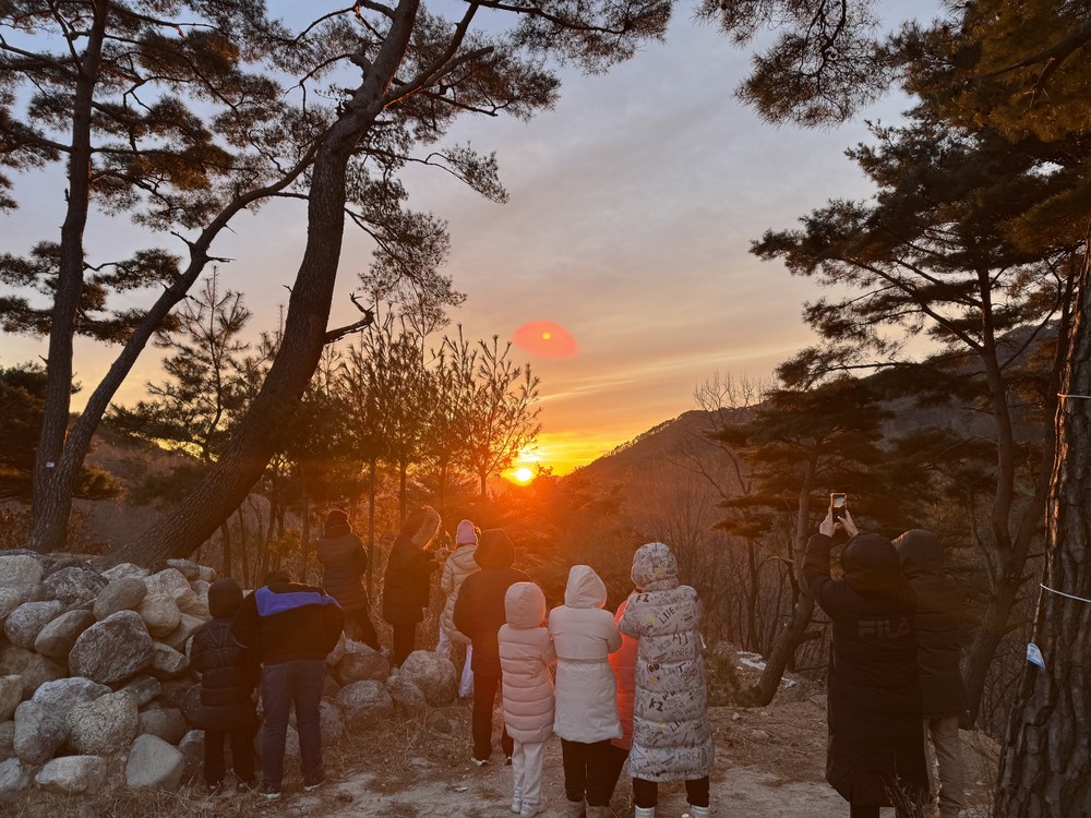 청도군 각남면 새마을3단체, ‘2026년 밤티재 해맞이 행사’성황리 개최