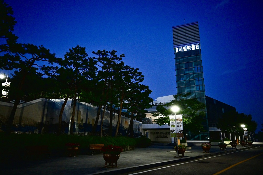 속초시, 임목폐기물 무상 처리로 비용 절감, 자원순환 강화
