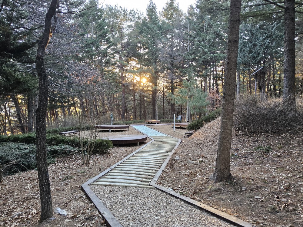 정선군, 비봉산 산림공원 조성 완료 ‘쉼과 치유의 공간 제공’