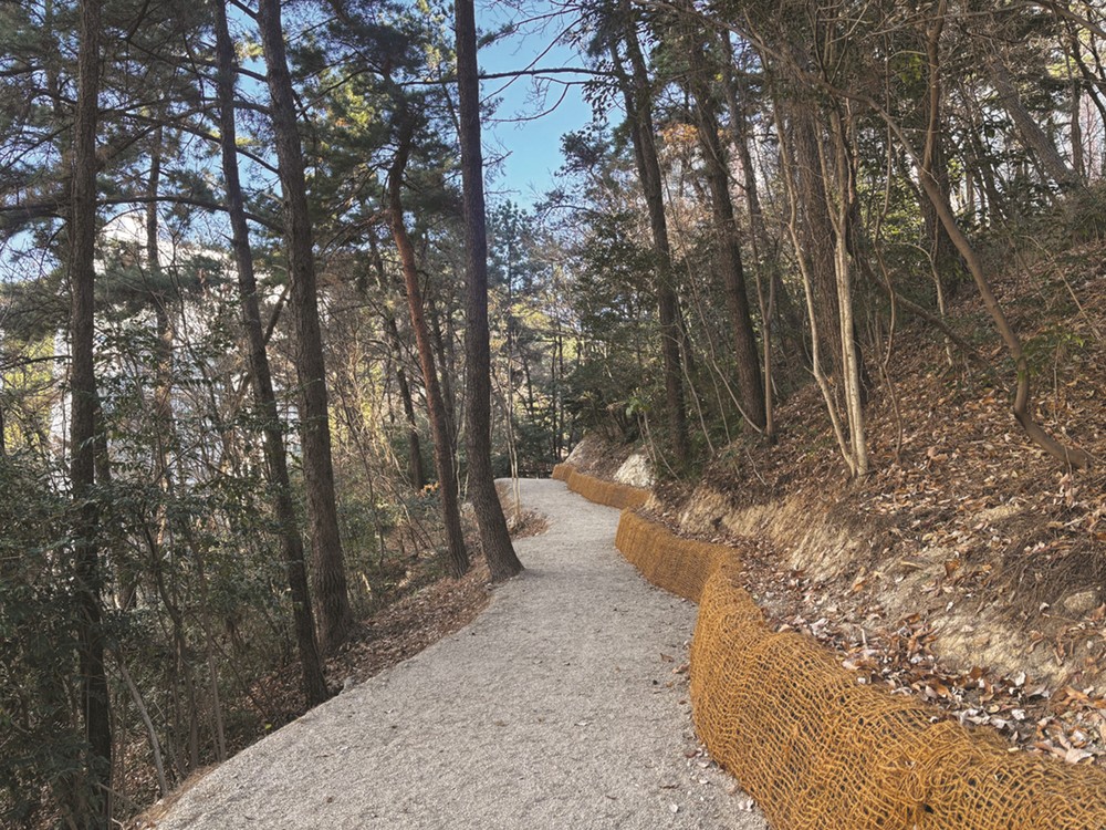 해운대구, 재반누리공원 숲속 산책길 ‘안전하고 쾌적하게’
