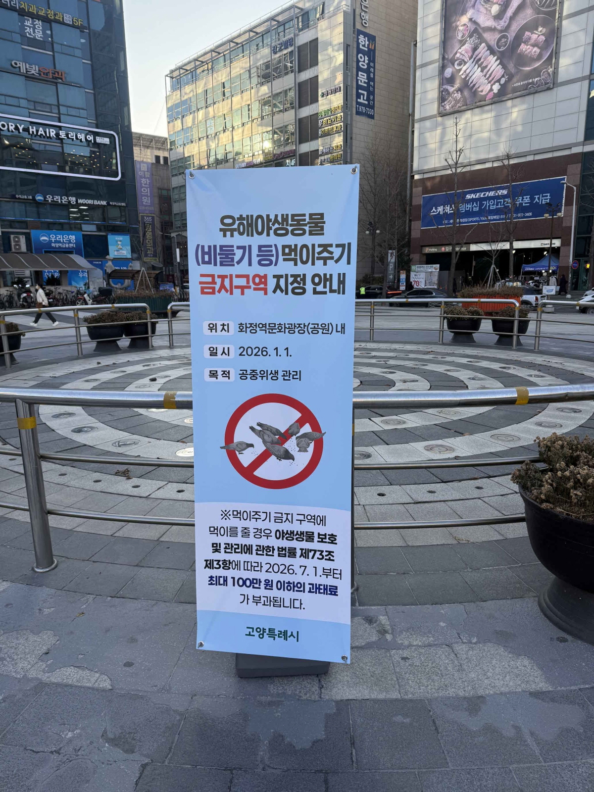 고양시, 비둘기 등 유해야생동물 먹이주기 금지구역 10개소 지정