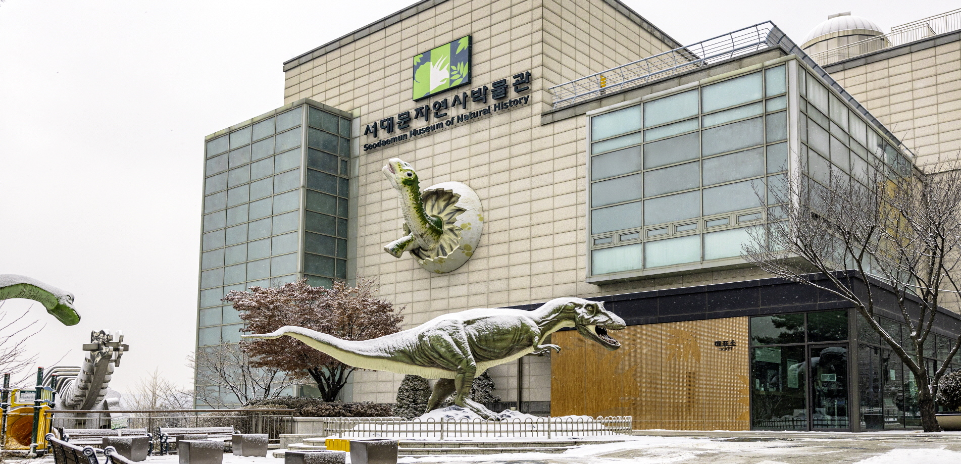 서대문자연사박물관, 2026년 말의 해 기념 과학강연 개최
