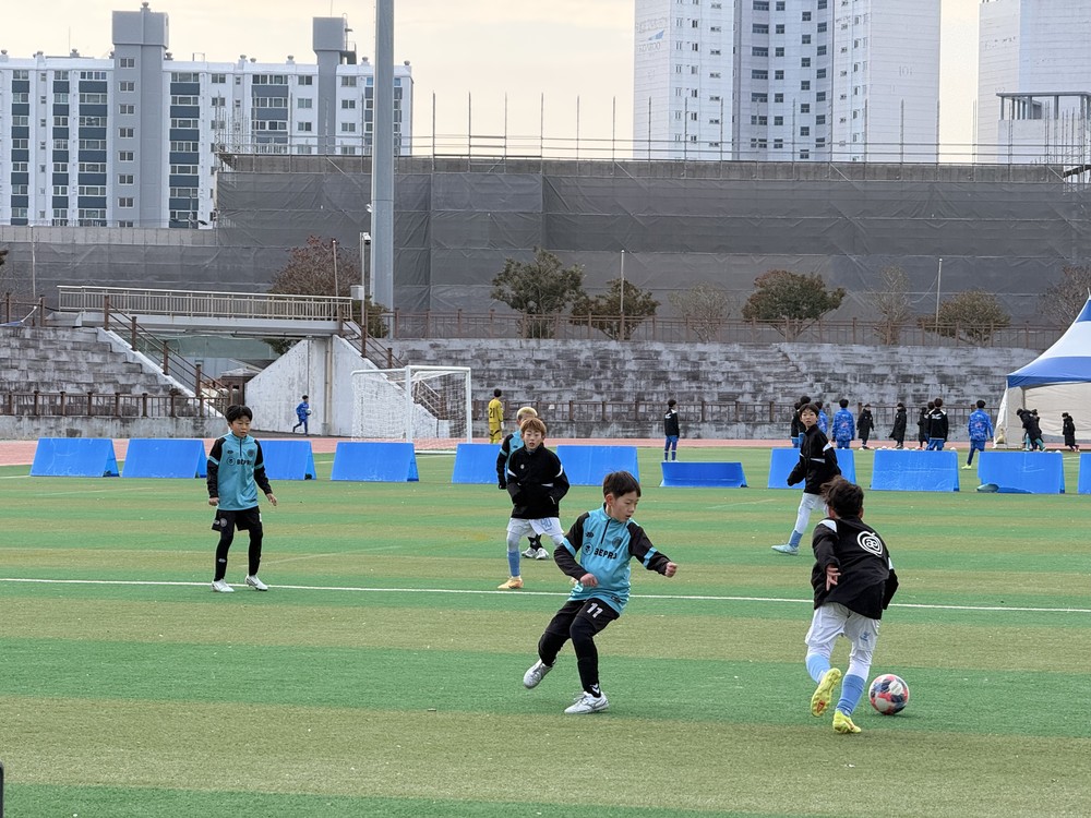 스포츠 메카 강진군, 2026 동계 전지훈련 본격 돌입