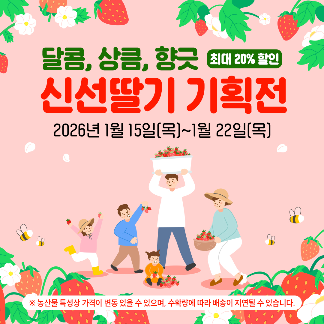 새해를 여는 달콤한 선택, 곡성몰 신선딸기 기획전 진행