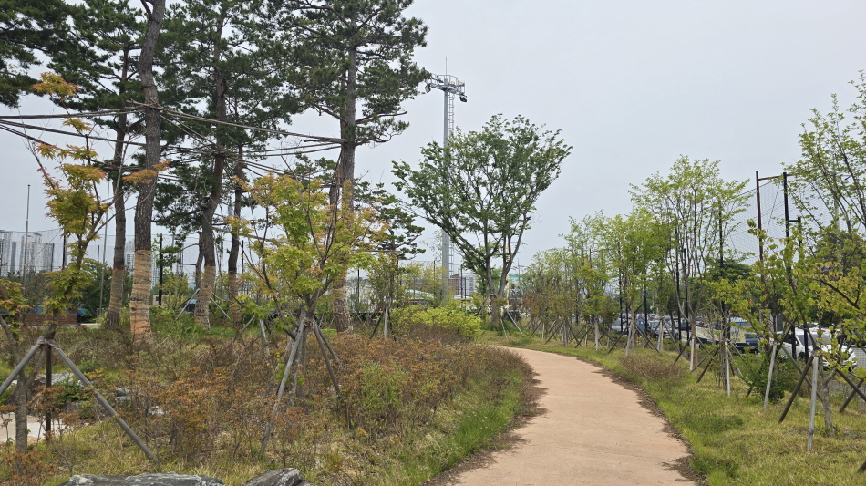 포항시 도시숲 온실가스 배출권 거래제 외부사업 추가 승인…전국 최다 보유