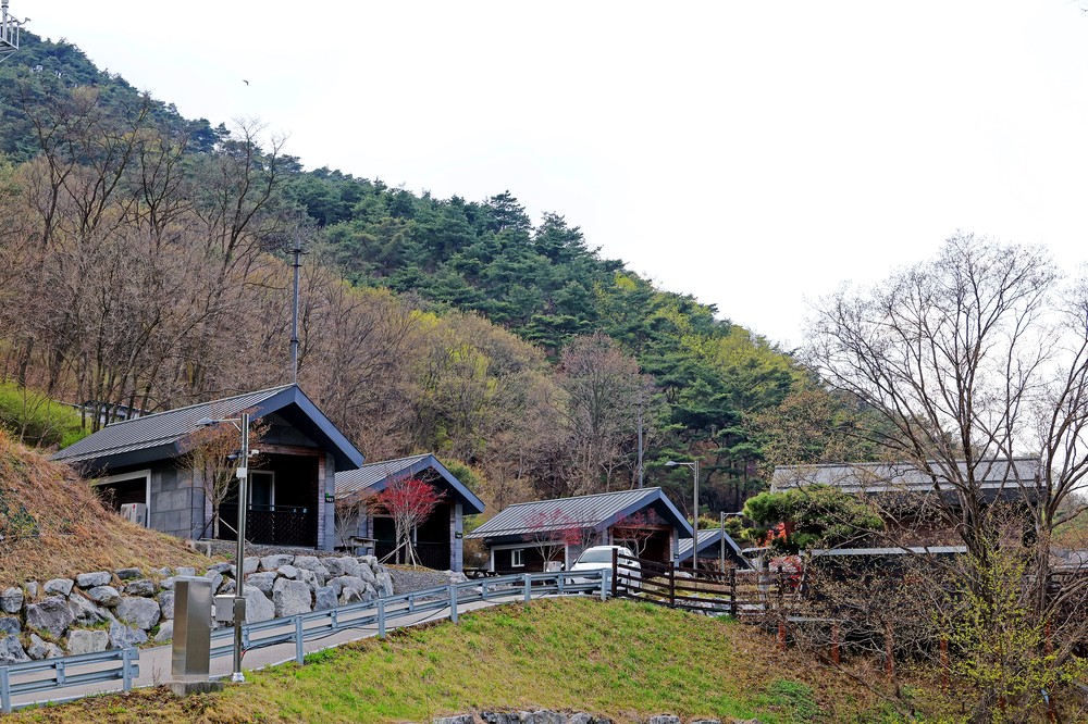 괴산군, 성불산 자연휴양림 체류형 관광 활성화 지원사업 시행
