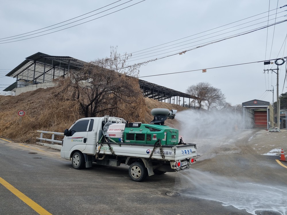 용인특례시, 가금류 농가 대상 조류인플루엔자(AI) 특별방역 총력