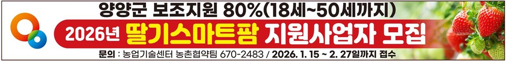 양양군,「딸기 스마트팜 지원사업」참여 청년 농업인 모집