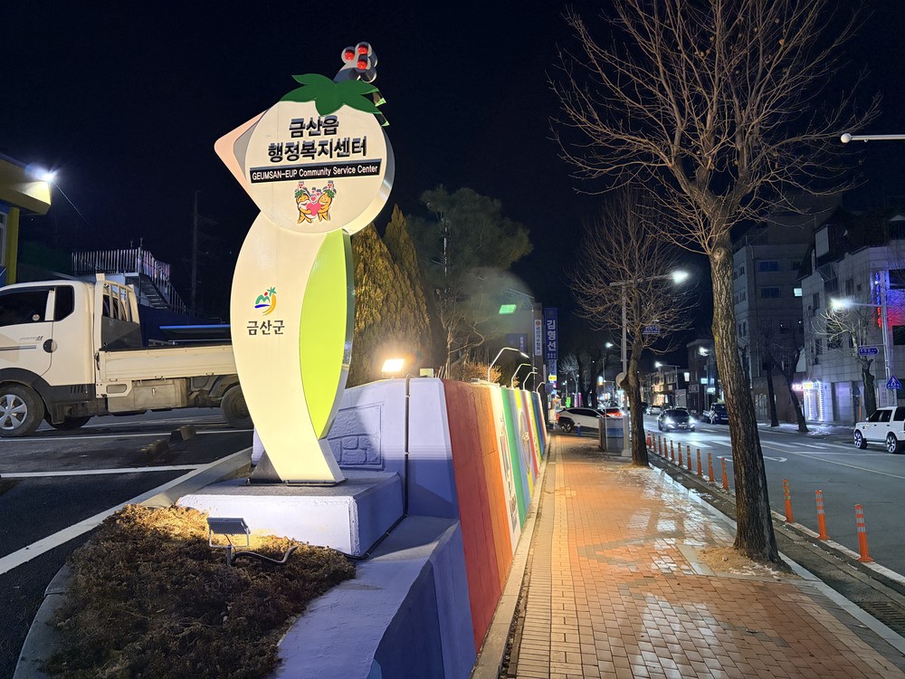 금산군 금산읍, 센터 남측 담장 조명 설치